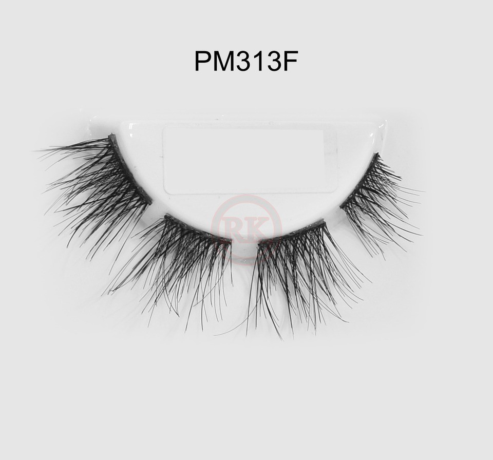 PM313F