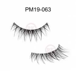 PM19-063