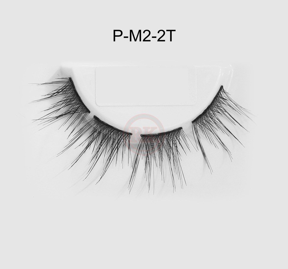 P-M2-2T