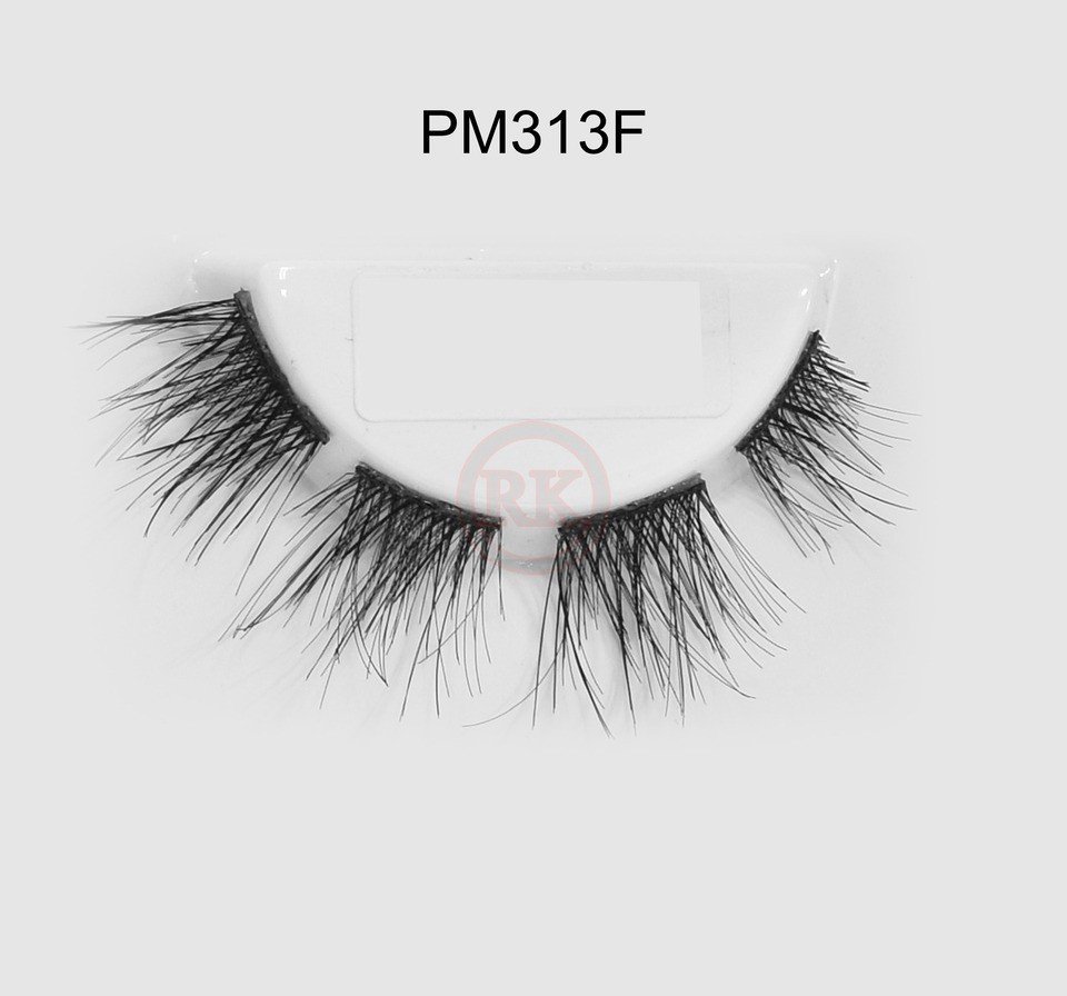 PM313F