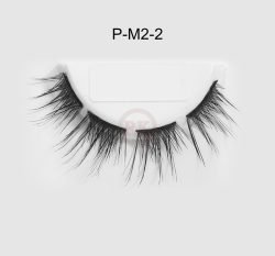 P-M2-2