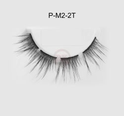 P-M2-2T