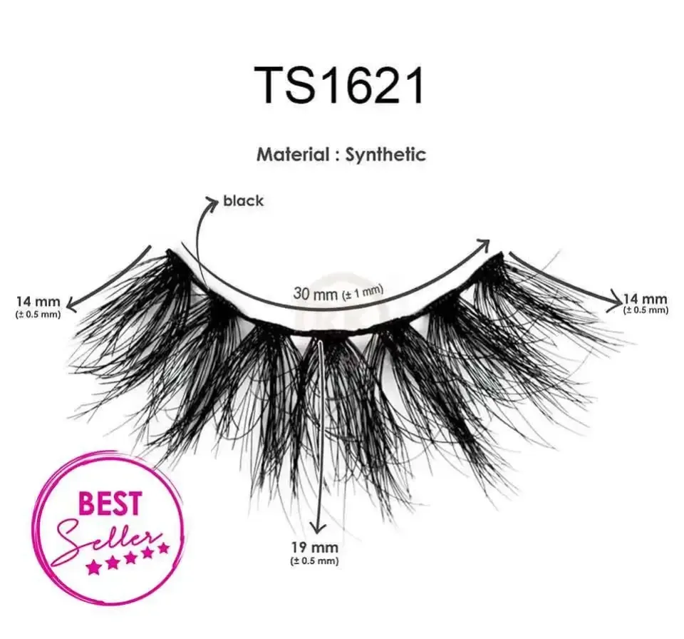 TS1621