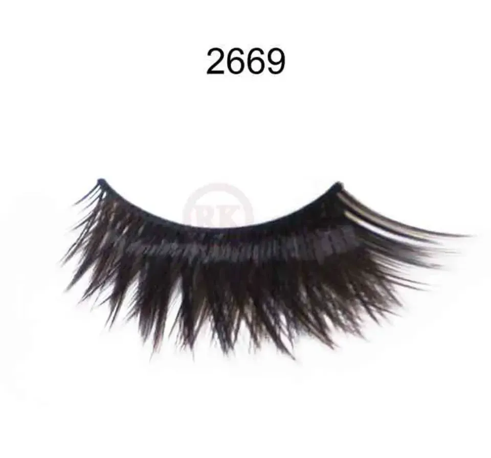 2669