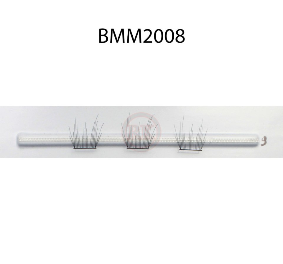BMM2008