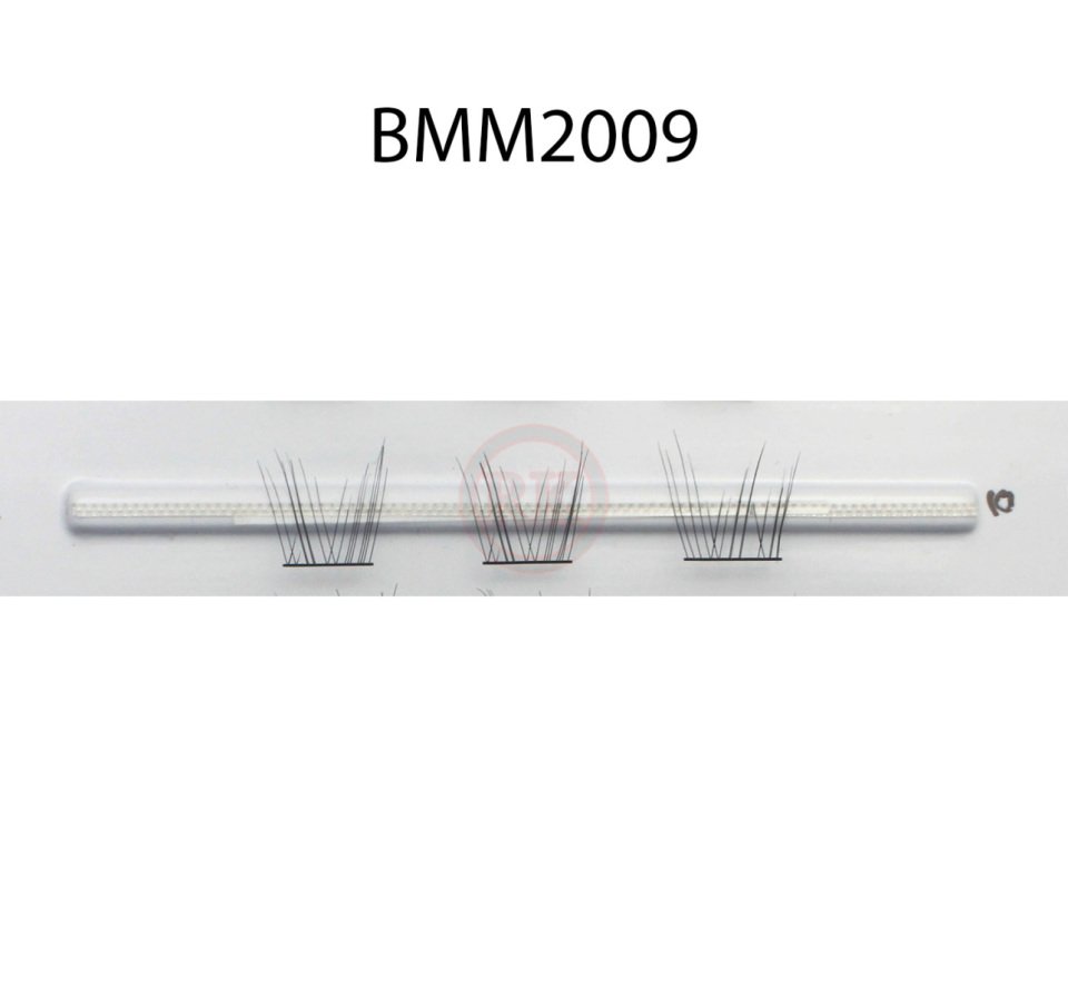 BMM2009