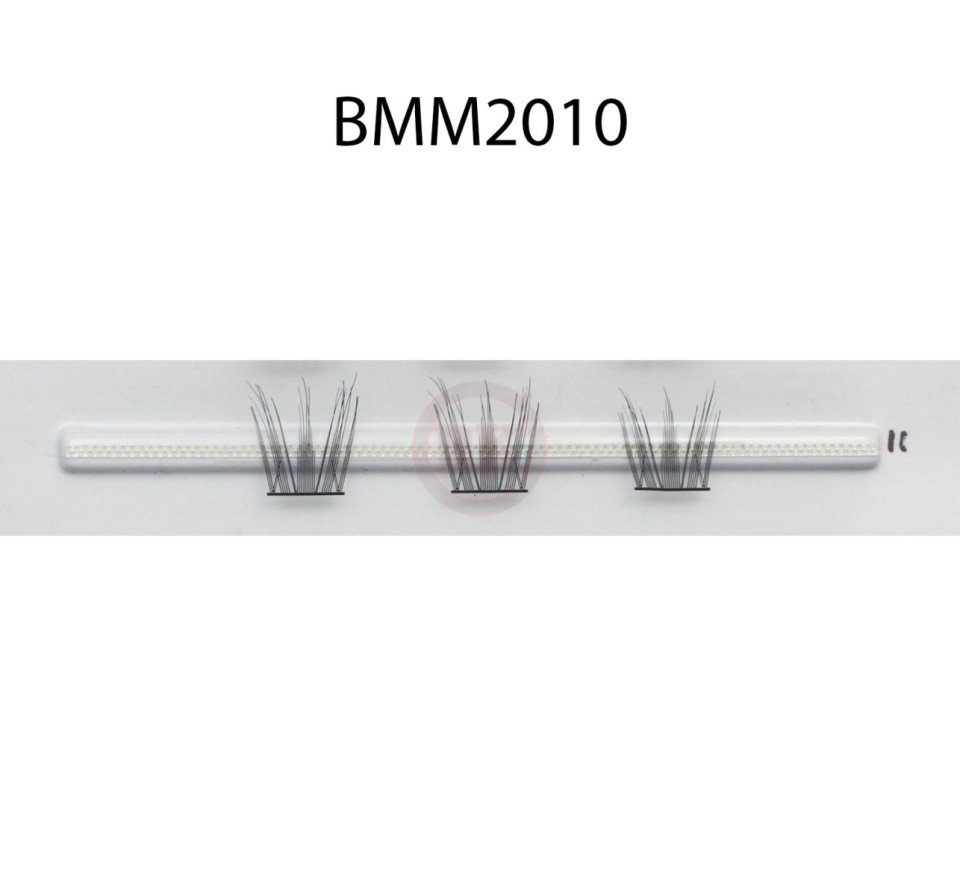 BMM2010