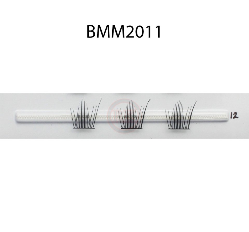 BMM2011