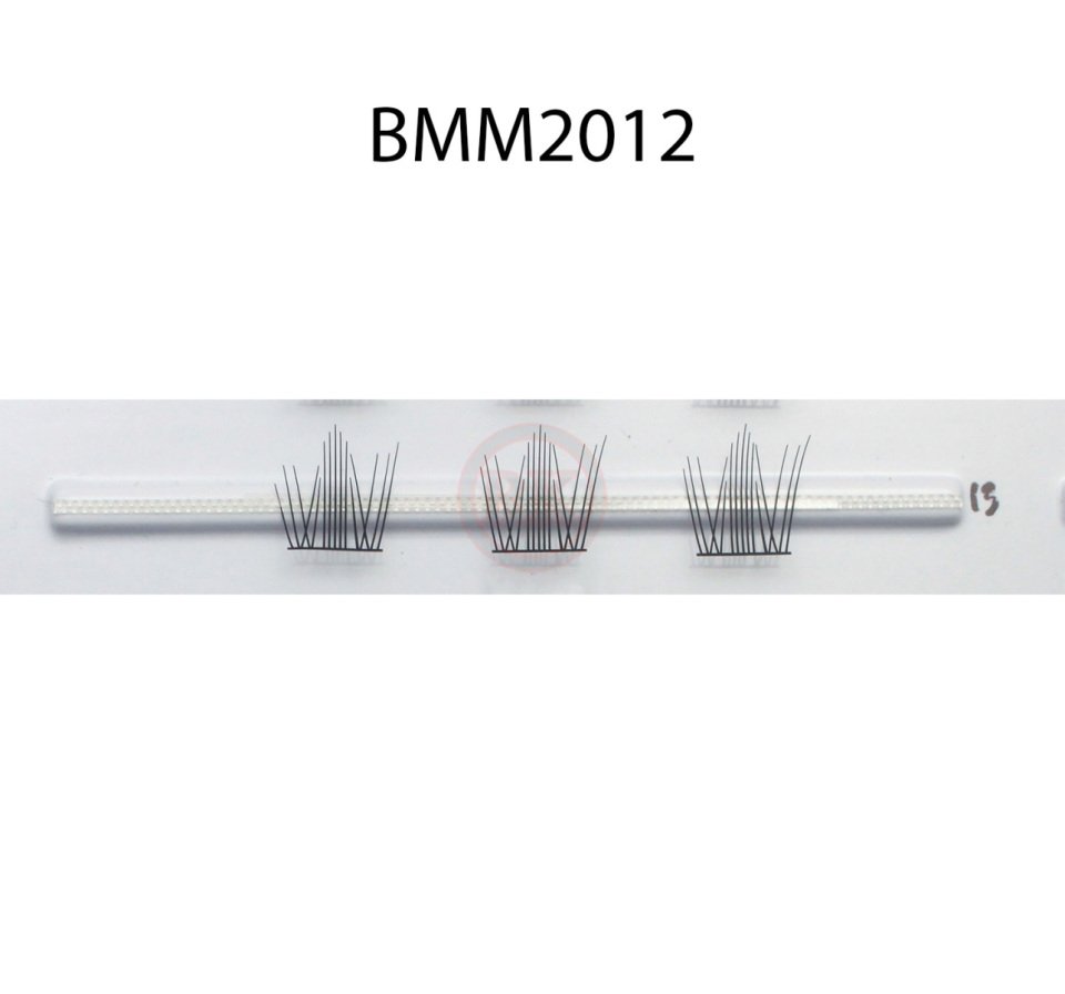 BMM2012