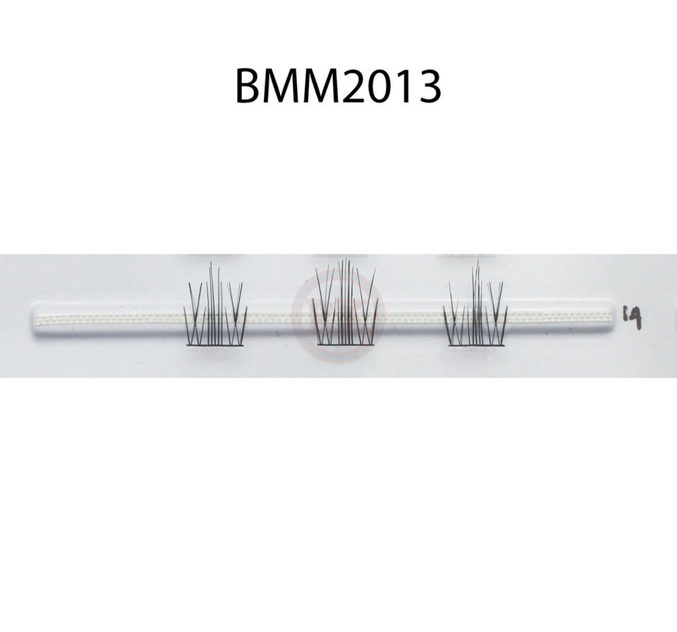 BMM2013
