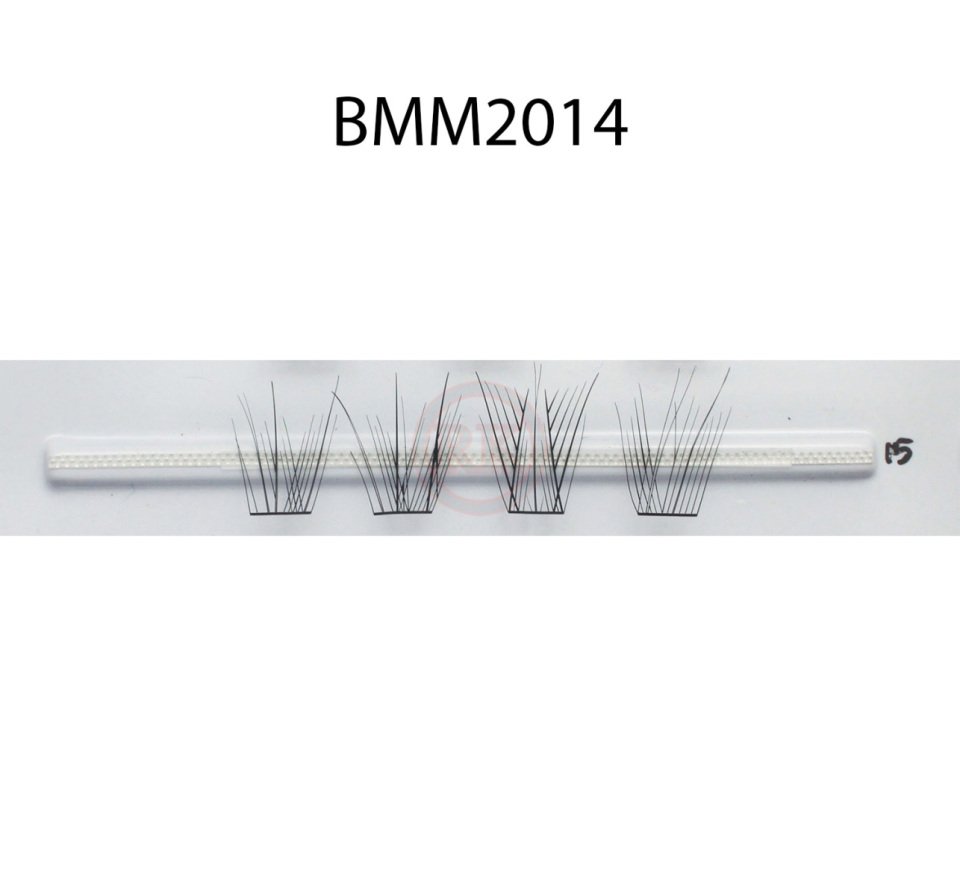 BMM2014