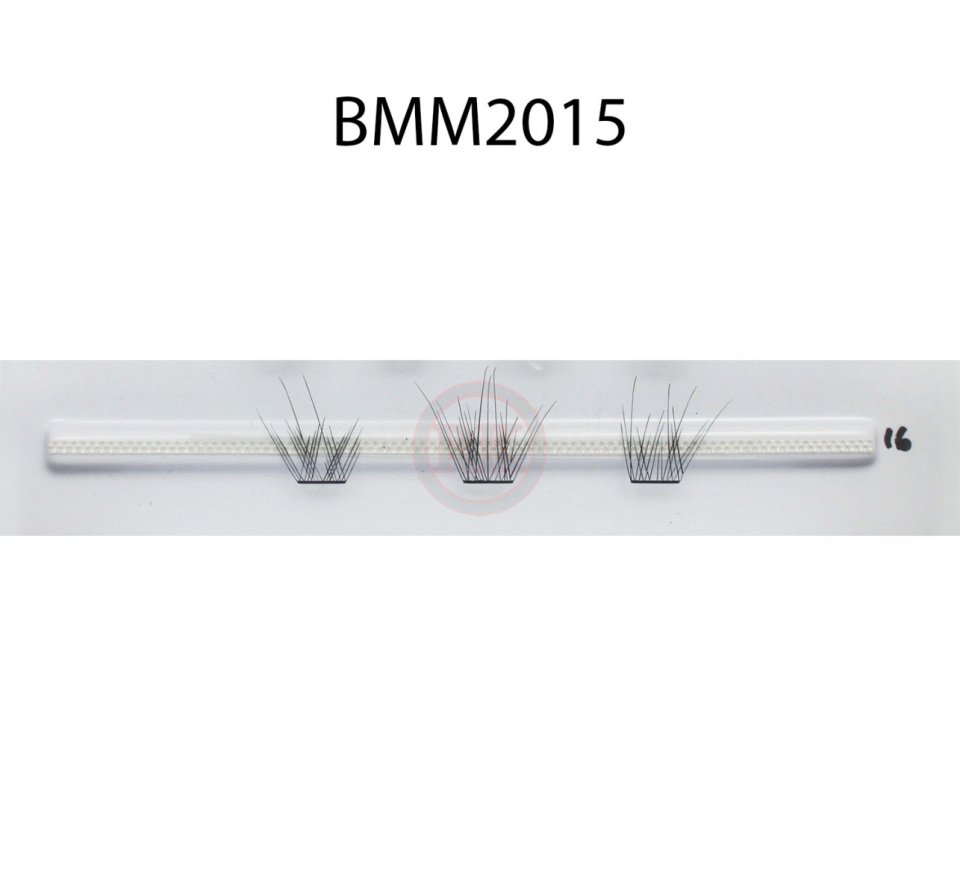 BMM2015