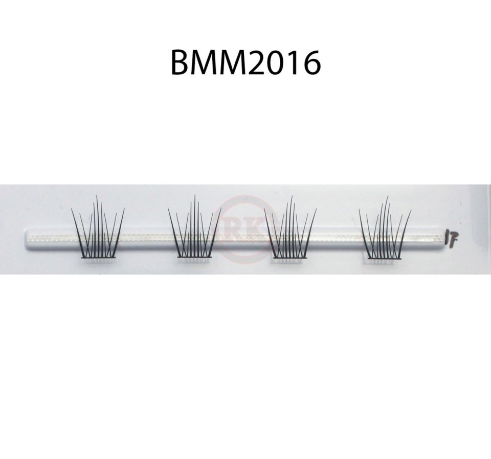 BMM2016