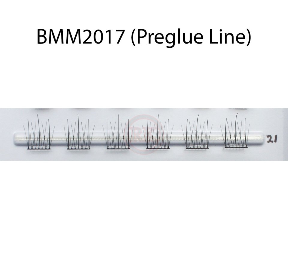 BMM2017-Preglue-Line
