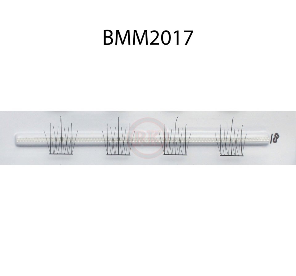 BMM2017
