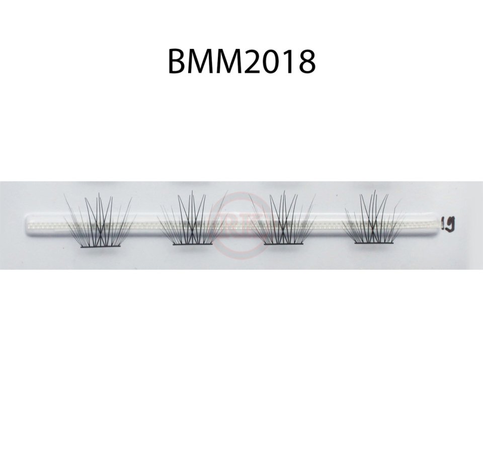 BMM2018