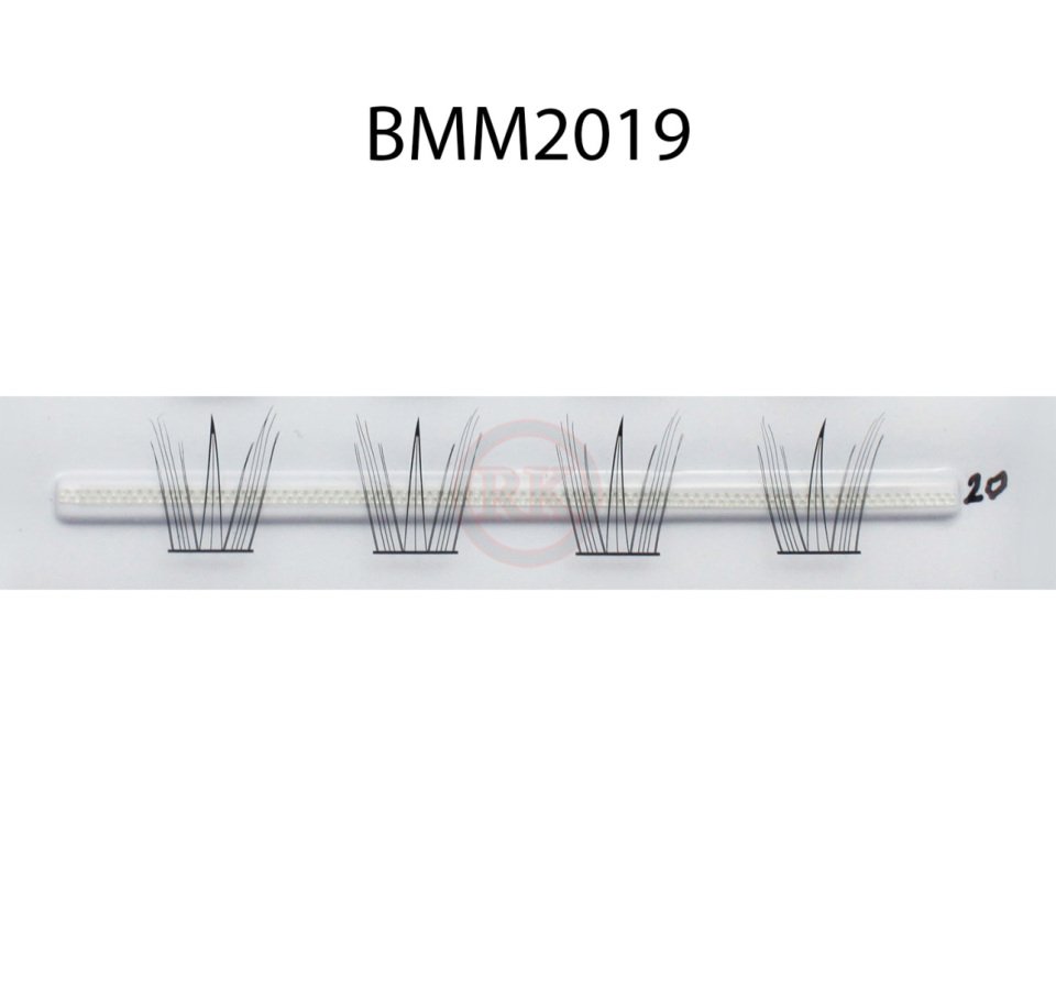 BMM2019