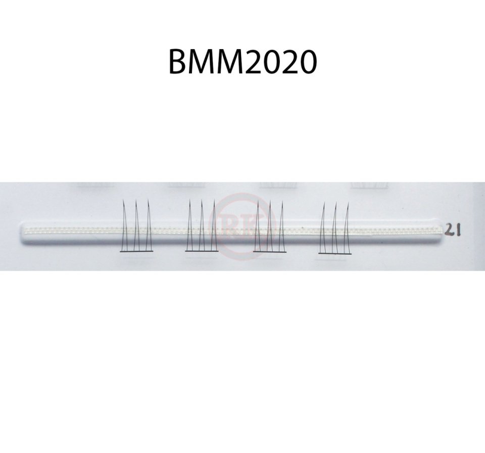 BMM2020