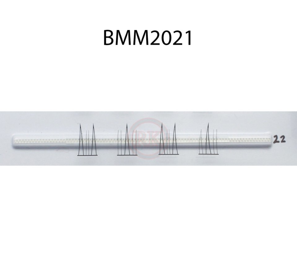 BMM2021