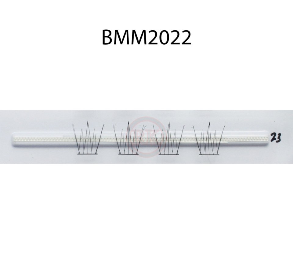 BMM2022