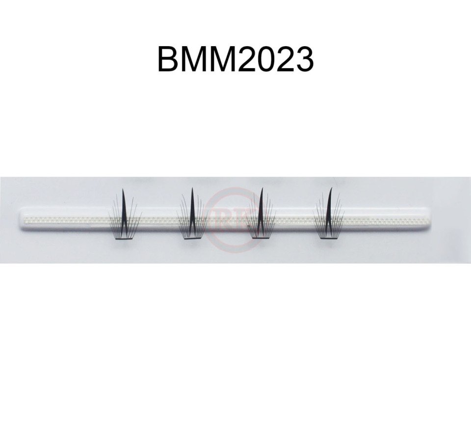 BMM2023