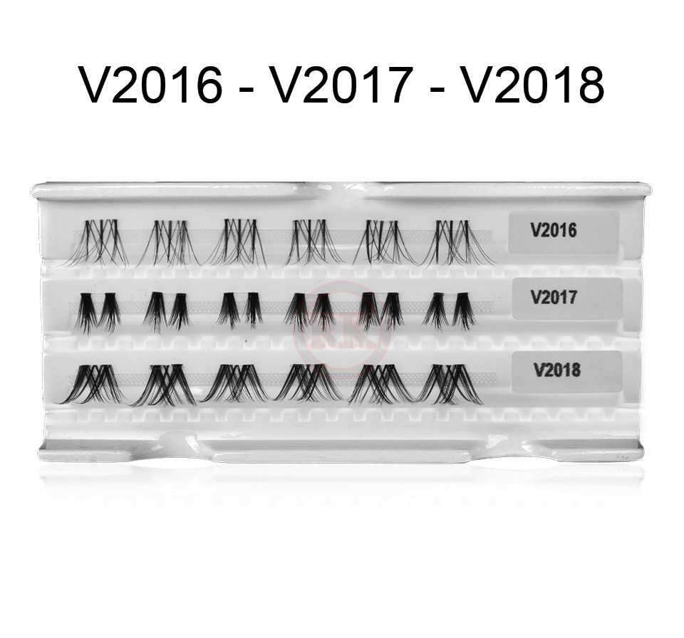 V2016-V2017-V2018