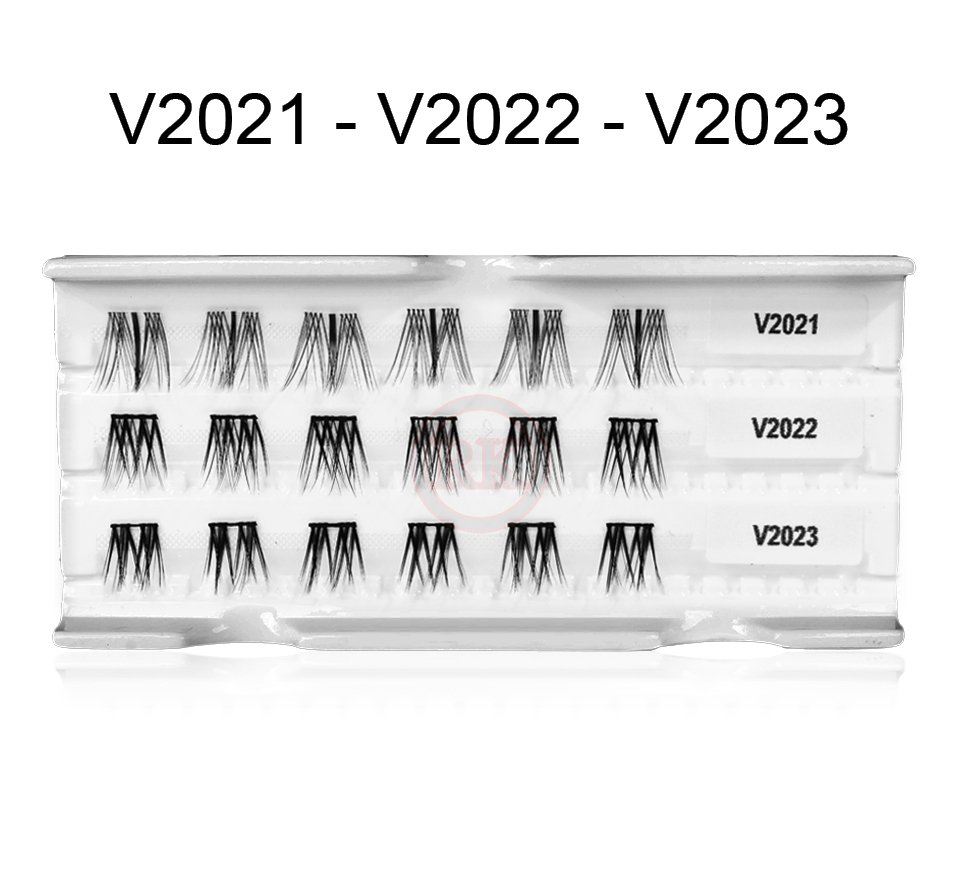 V2021-V2022-V2023