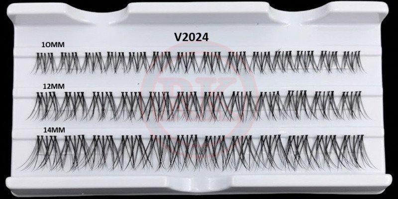 V2024