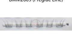 BMM2009-Preglue-Line