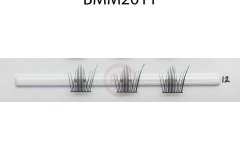 BMM2011
