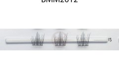 BMM2012