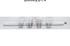 BMM2014