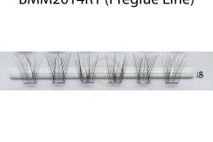 BMM2014R1-Preglue-Line