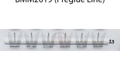 BMM2019-Preglue-Line