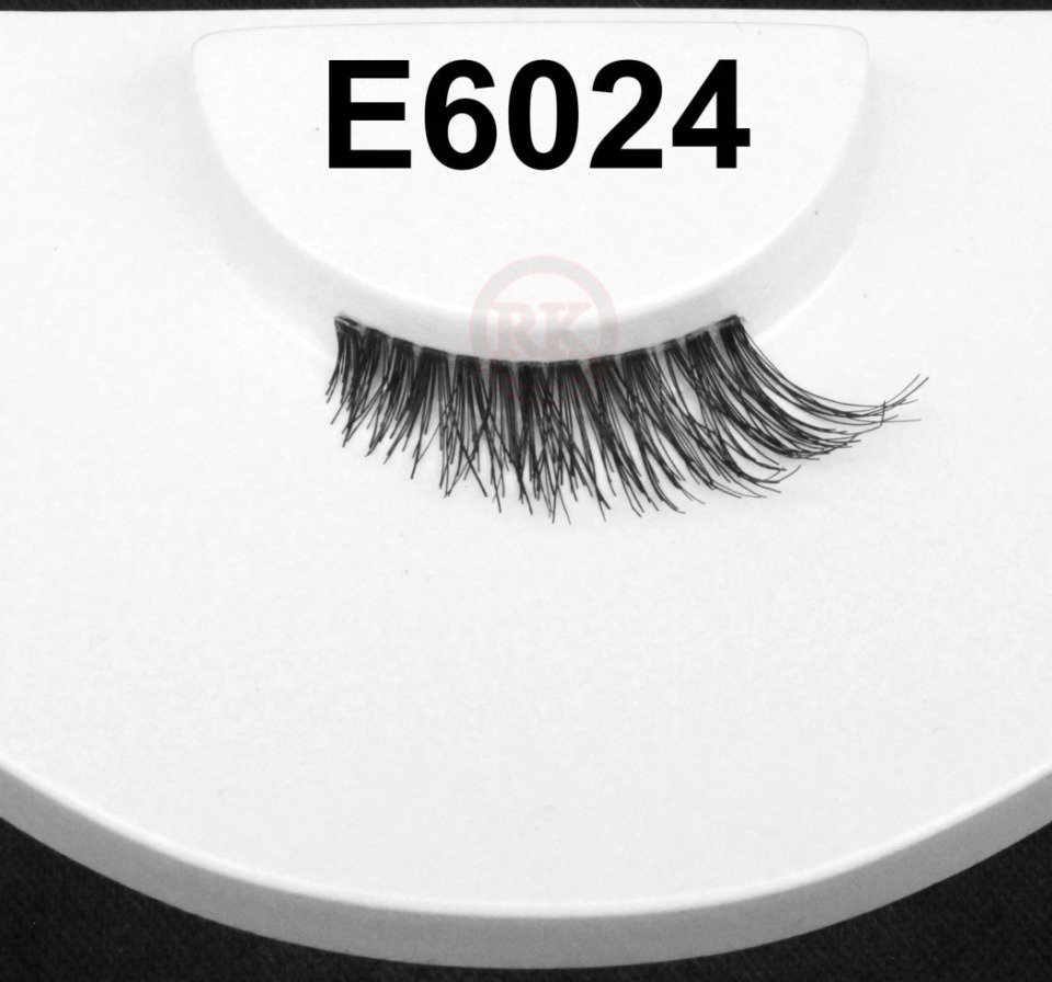 E6024