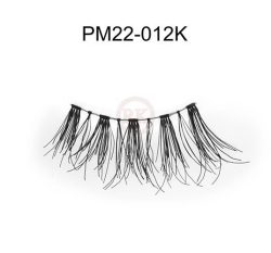 PM22-012K