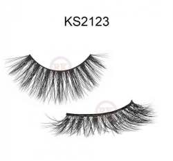 KS2123