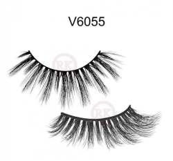 V6055