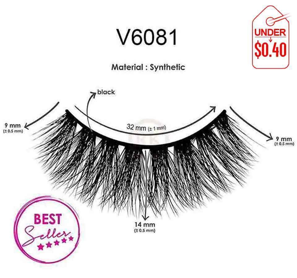 V6081