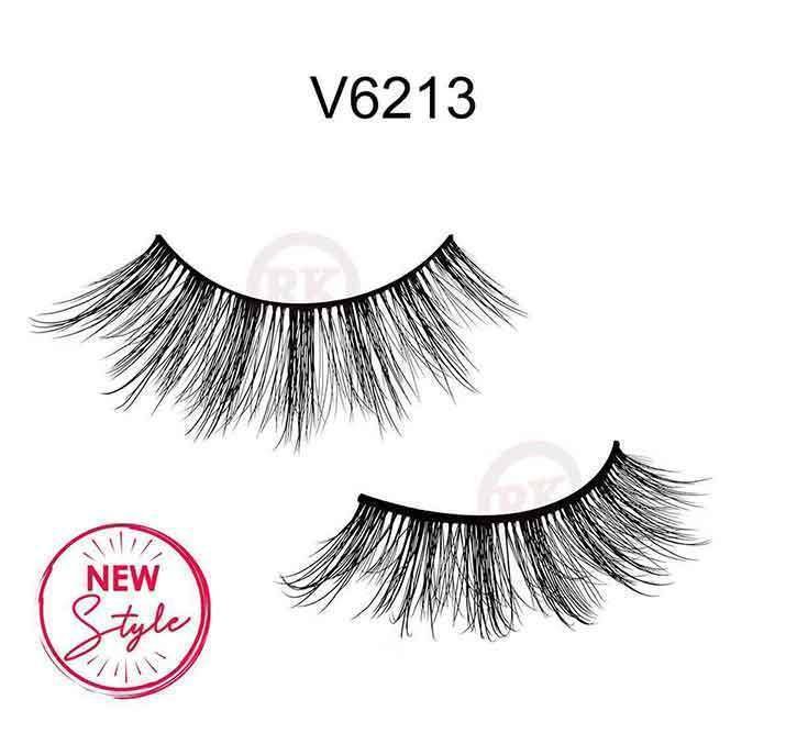 V6213