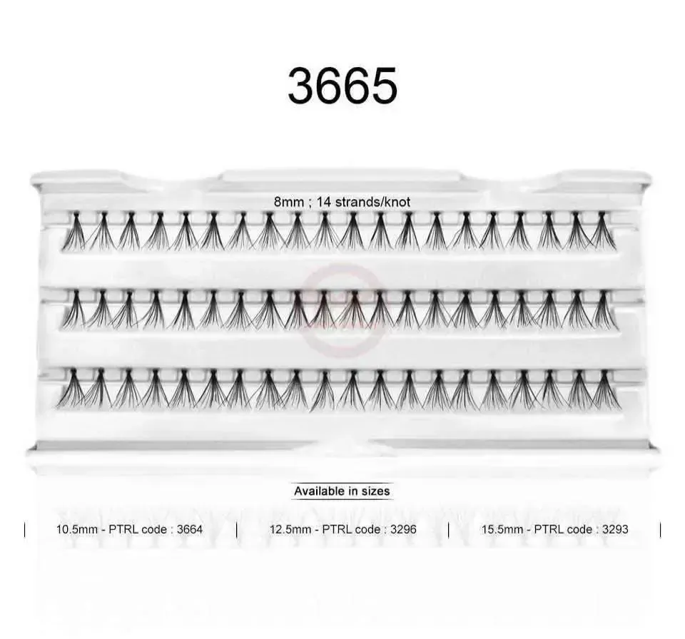 3665