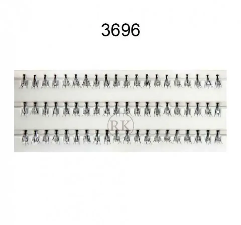 3696