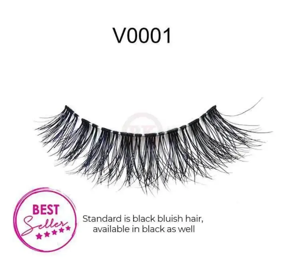 V0001
