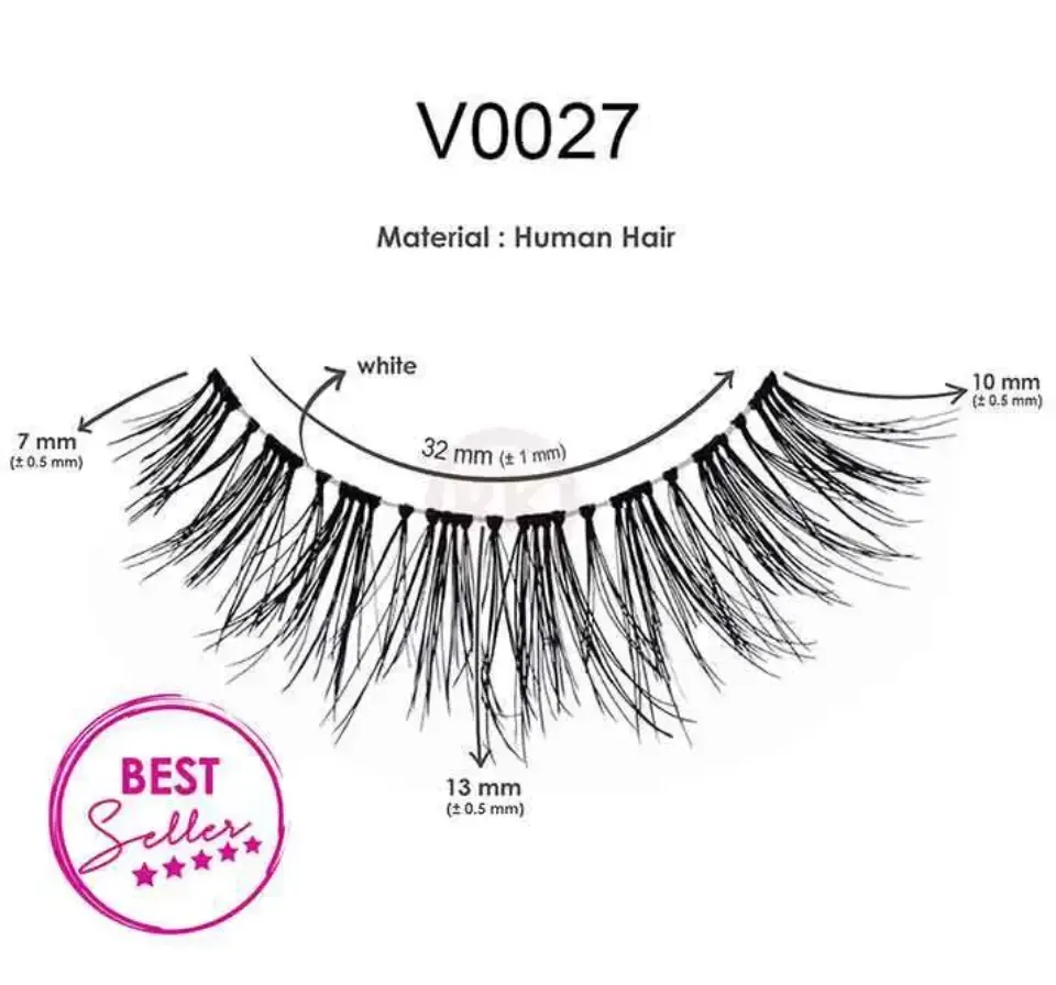 V0027