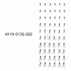 AY19-0136-002