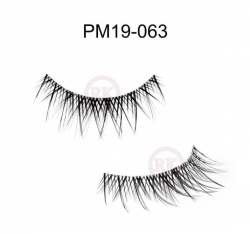 PM19-063