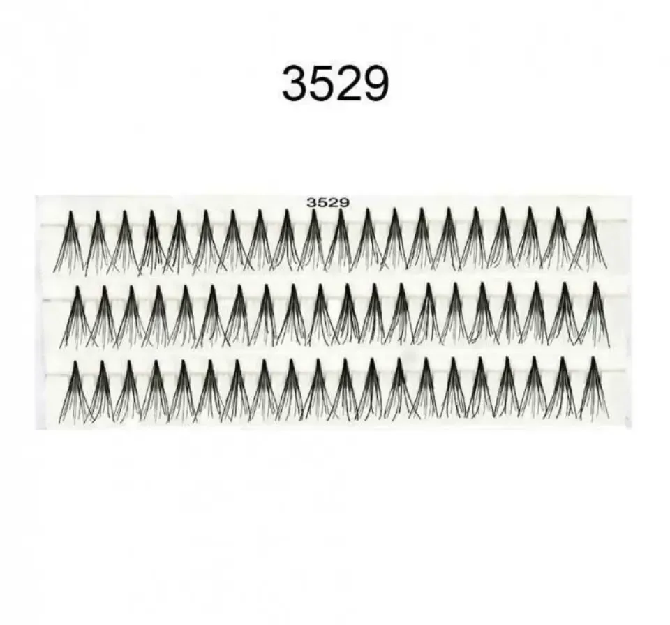 3529
