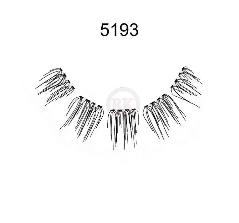 5193