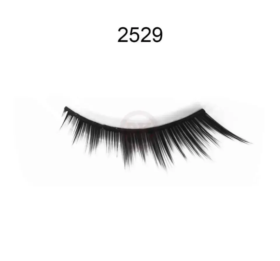 2529