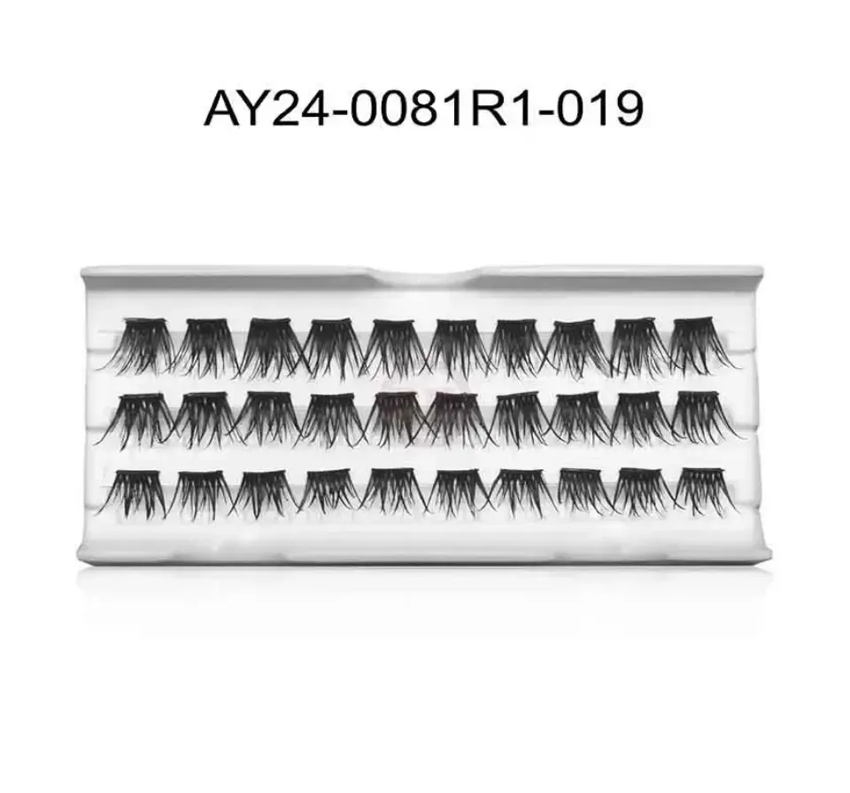 AY24-0081R1-019